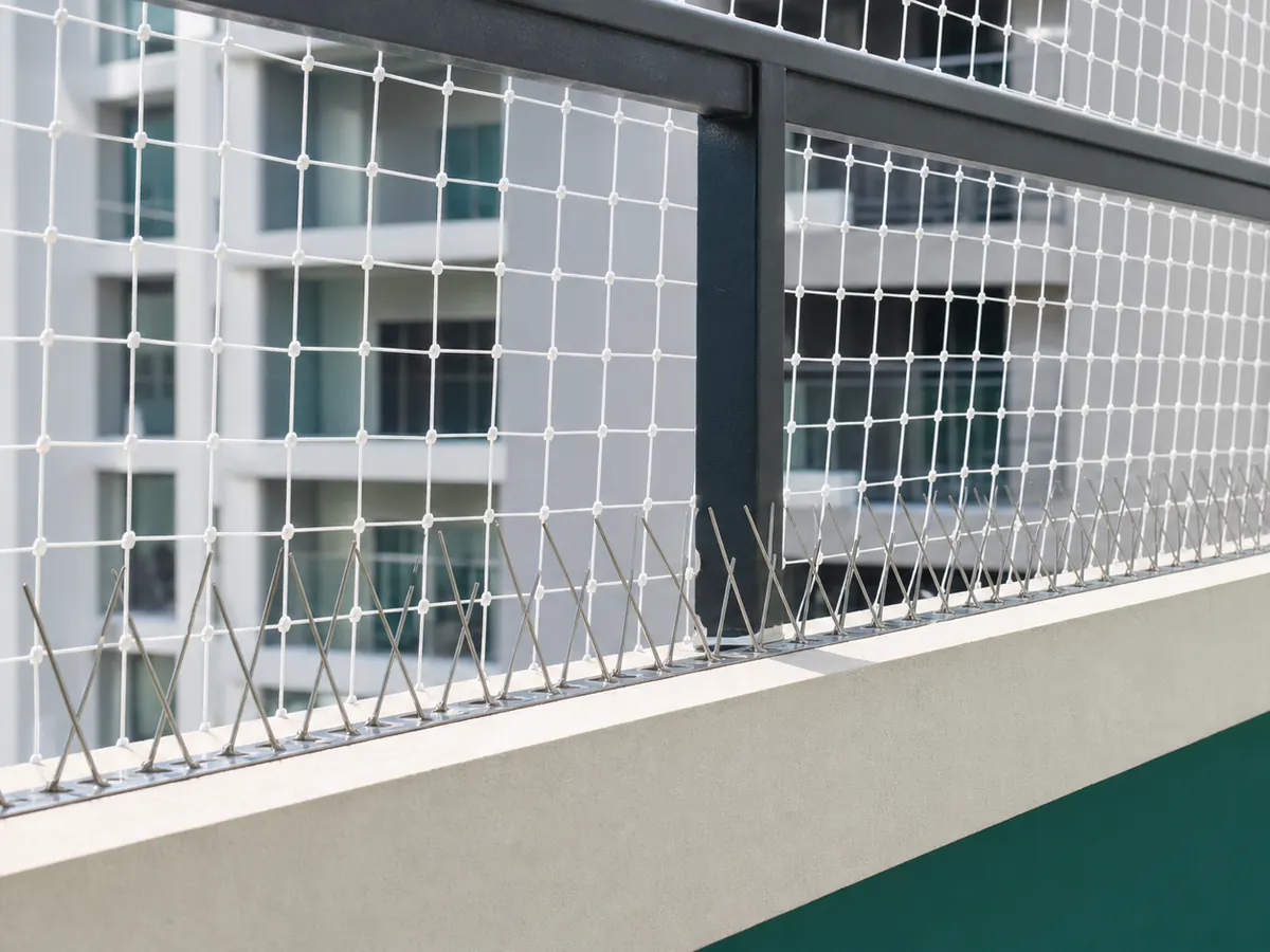 Pigeon Safety Nets